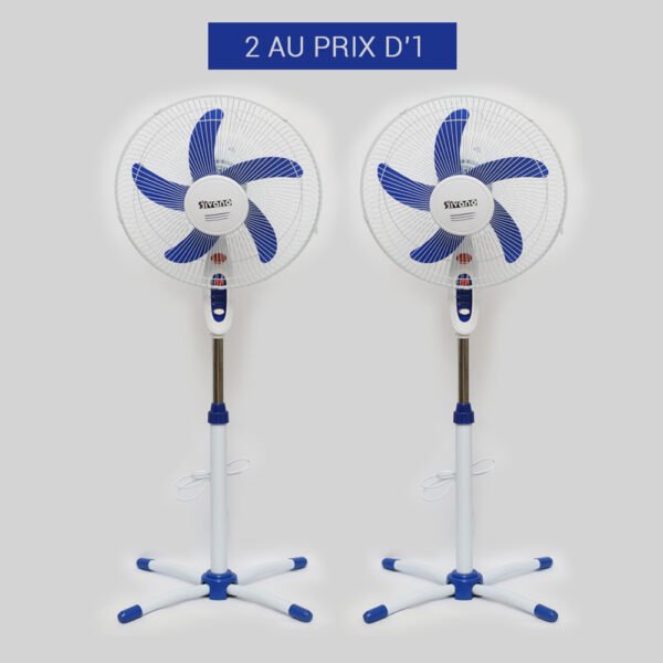 Lot de 2 Ventilateur SILVANO 16 Pouces