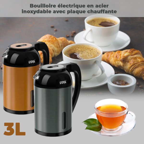 ST-6015 - Bouilloire électrique en acier inoxydable avec plaque chauffante